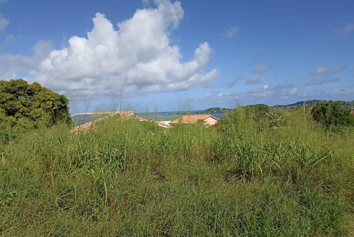 Terrain plat de 779 m² avec vue mer au François – Opportunité à saisir 