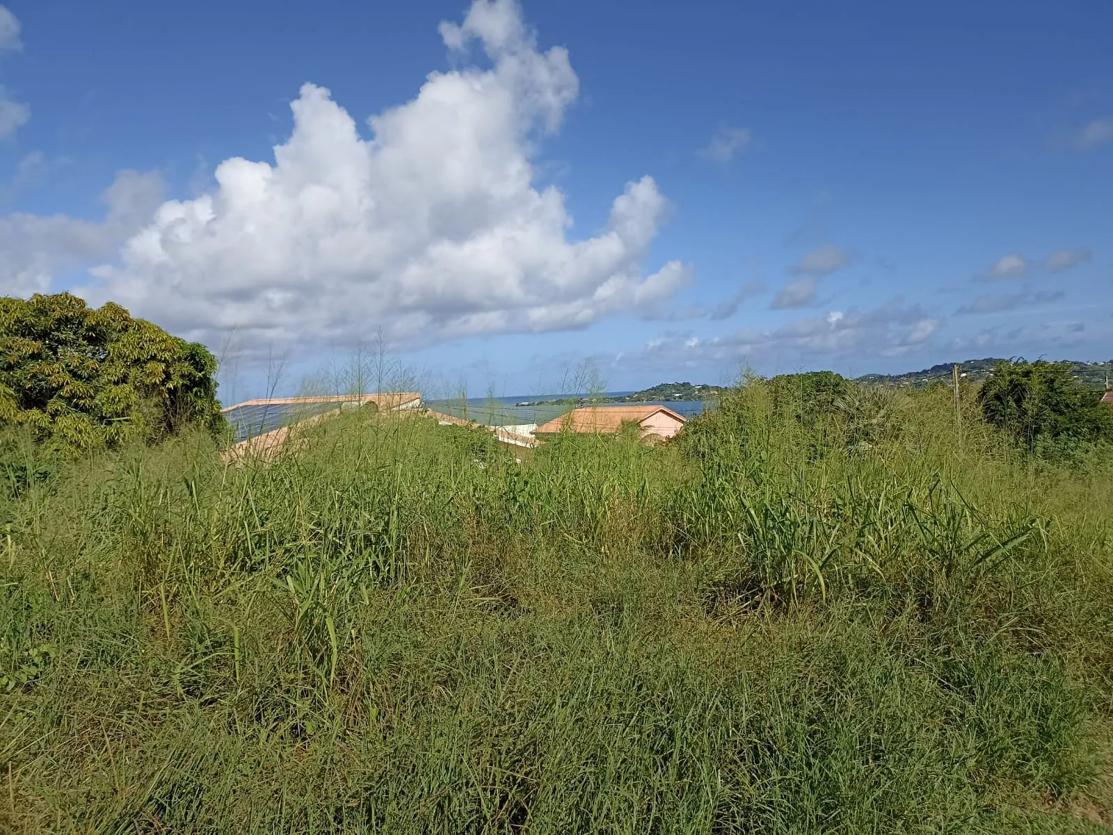 Terrain plat de 779 m² avec vue mer au François – Opportunité à saisir 