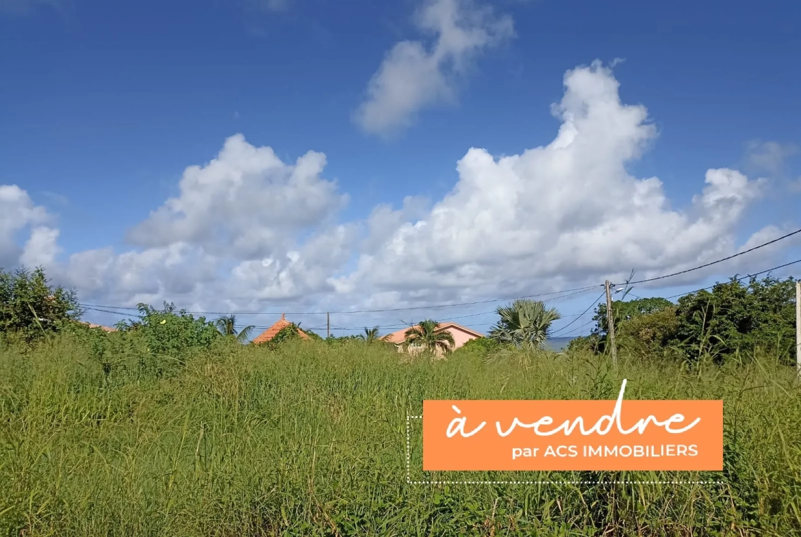 Terrain plat de 779 m² avec vue mer au François – Opportunité à saisir 