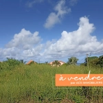 Terrain plat de 779 m² avec vue mer au François – Opportunité à saisir