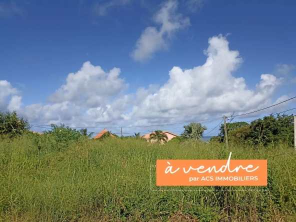 Terrain plat de 779 m² avec vue mer au François – Opportunité à saisir