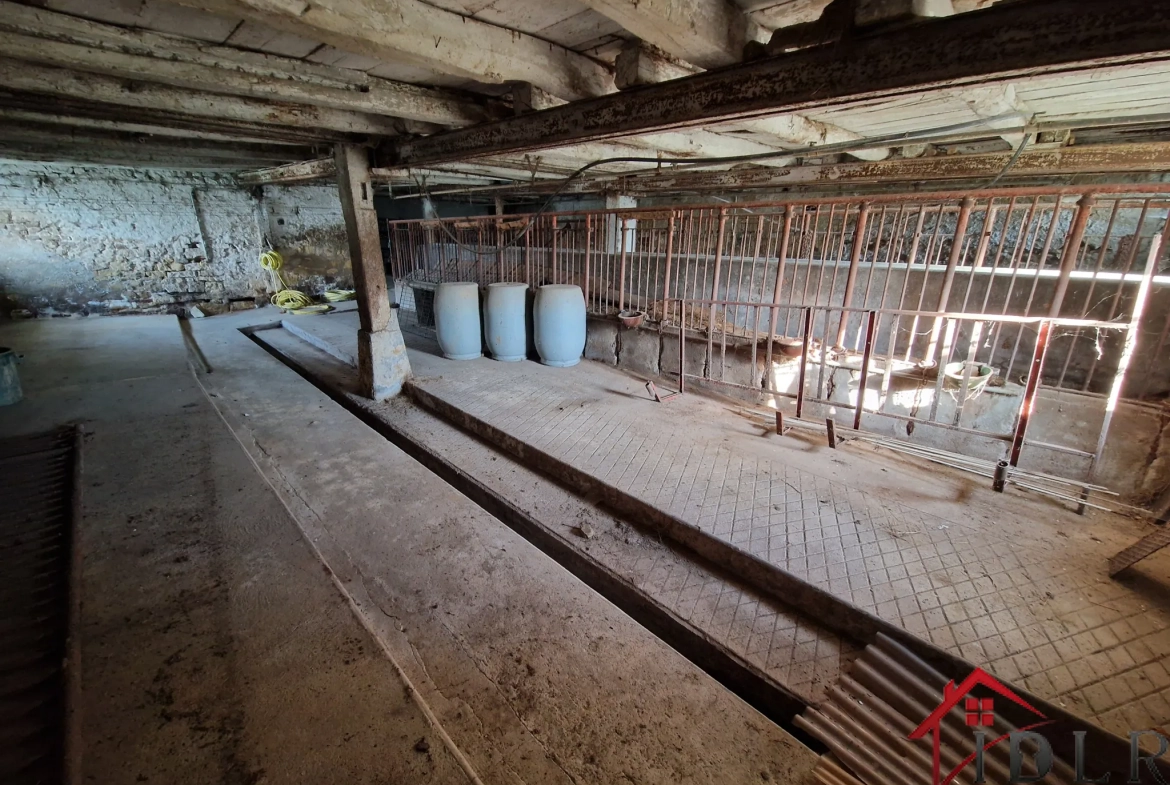 Maison ancienne de 146 m² avec dépendances et potentiel dans le village de Tollaincourt 