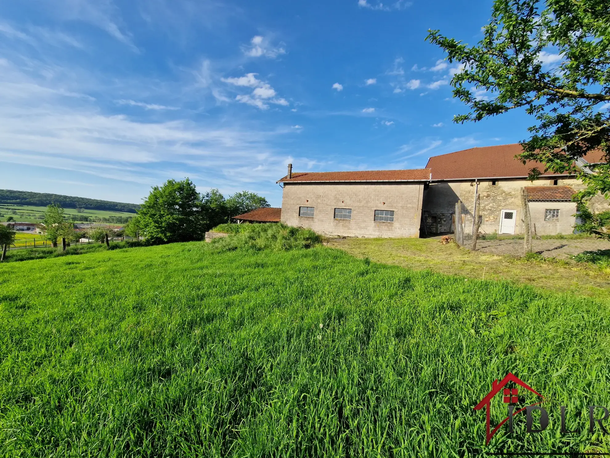 Maison ancienne de 146 m² avec dépendances et potentiel dans le village de Tollaincourt 