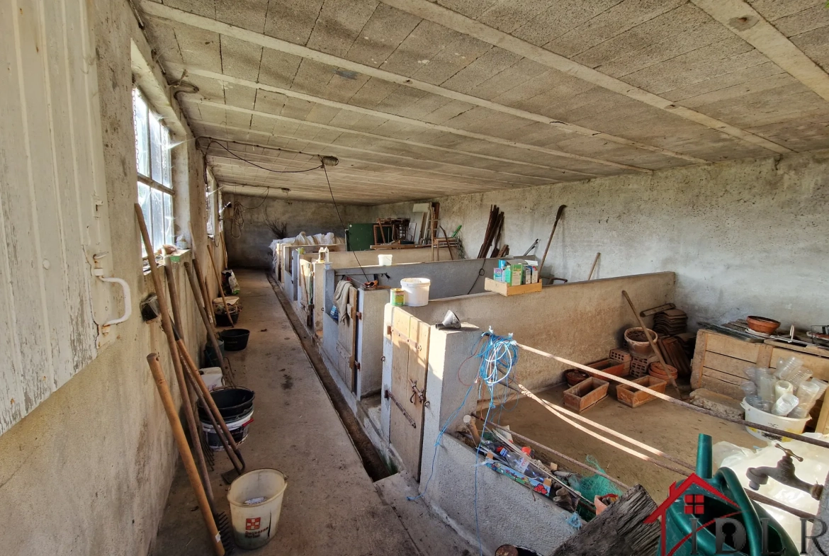 Maison ancienne de 146 m² avec dépendances et potentiel dans le village de Tollaincourt 