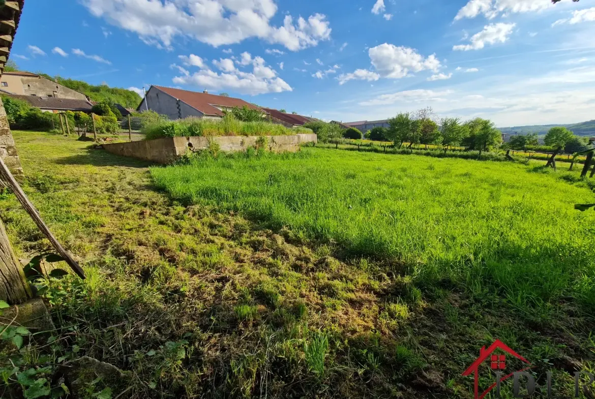 Maison ancienne de 146 m² avec dépendances et potentiel dans le village de Tollaincourt 