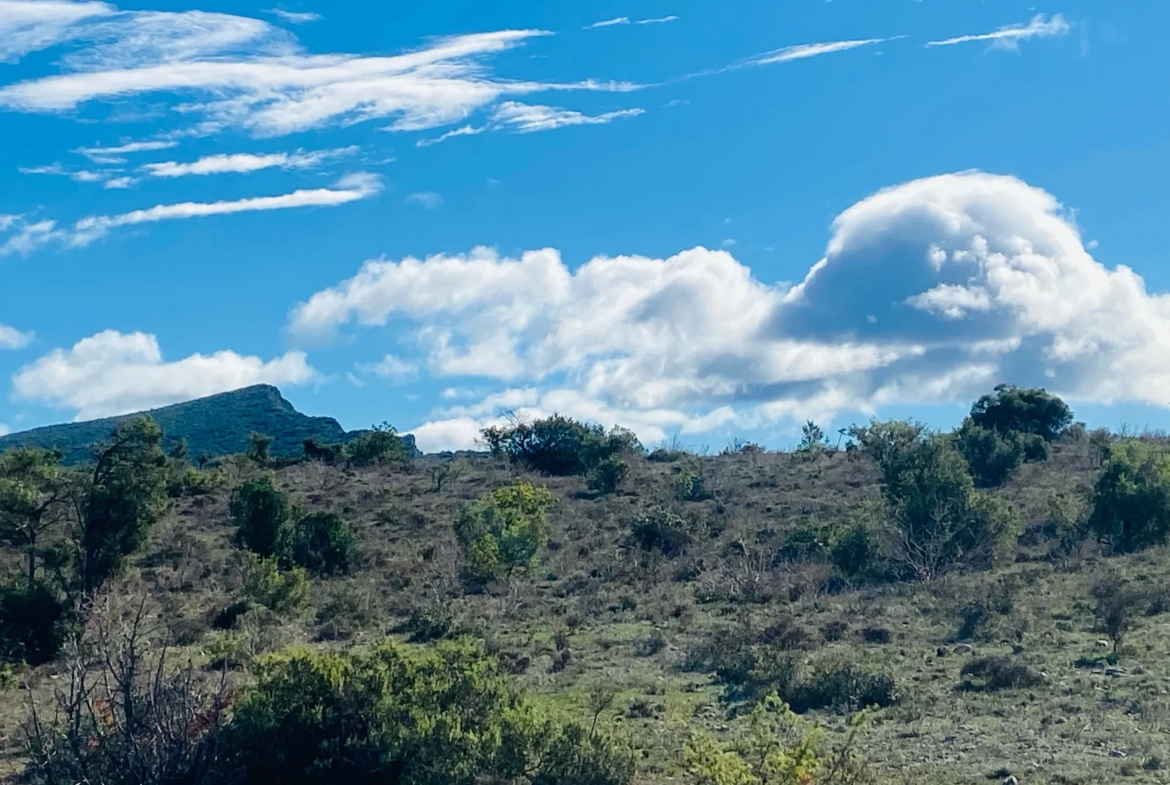 Terrain non constructible à vendre près du Pic Saint Loup à Mas de Londres 