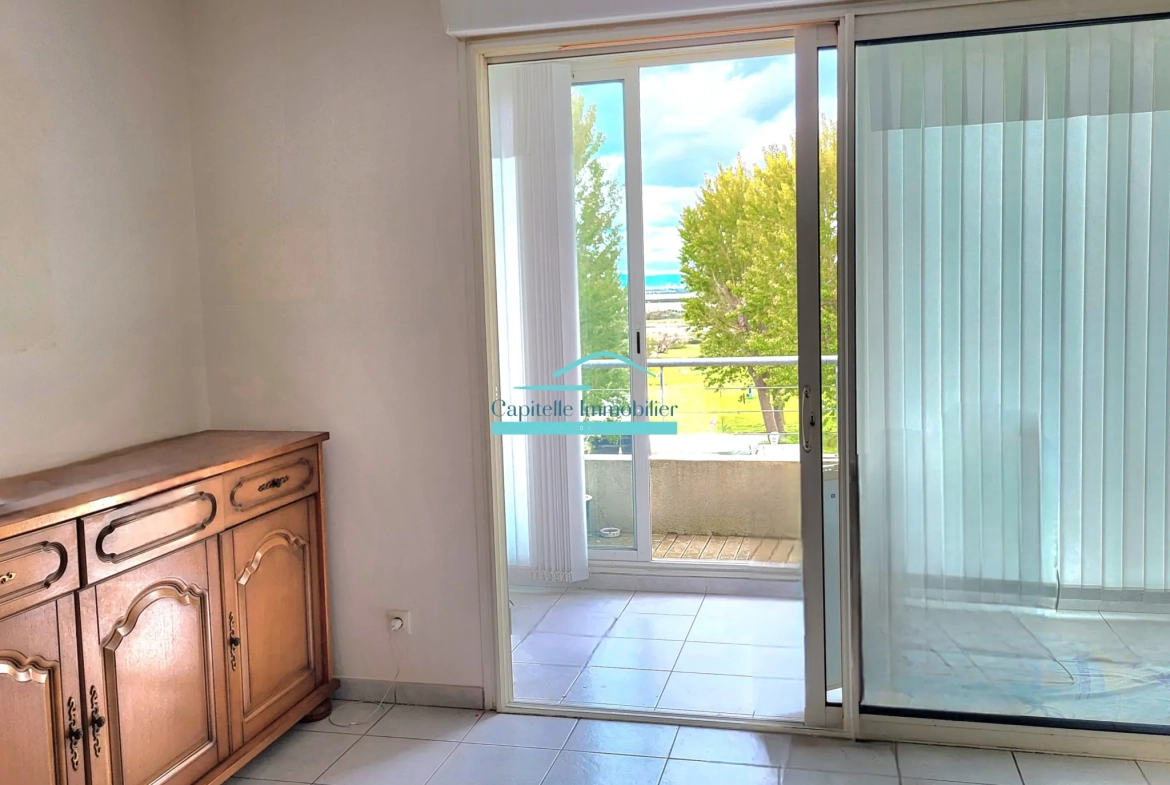 Appartement T2 à Palavas avec vue sur étangs, parking et balcon 