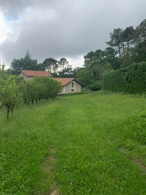 Belle maison de campagne en pierre à Saint Paul de Serre en Dordogne 