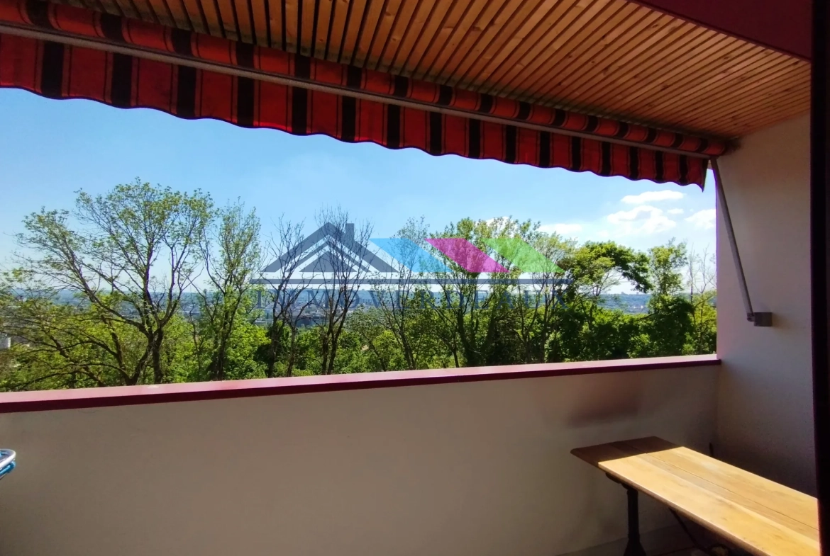 Appartement T3 rénové avec vue panoramique sur Nancy - Malzéville 