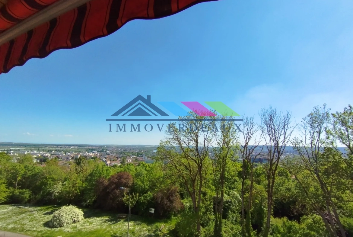 Appartement T3 rénové avec vue panoramique sur Nancy - Malzéville 