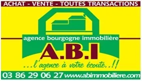AGENCE  AGENCE-BOURGNON-IMMOBILIERE_1