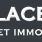 LEMPLACEMENTDELIMMO_1