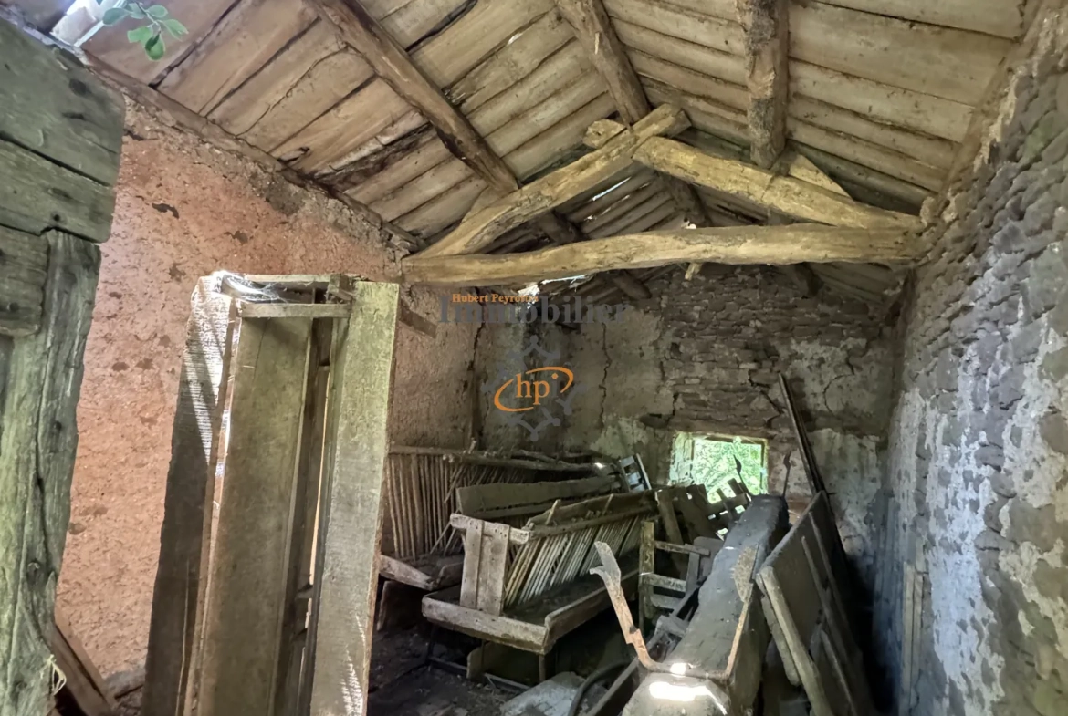 Grange en pierre à vendre à Belmont-sur-Rance, 811 m² de terrain - Idéal stockage ou rénovation 