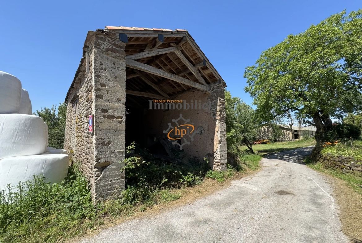Grange en pierre à vendre à Belmont-sur-Rance, 811 m² de terrain - Idéal stockage ou rénovation 