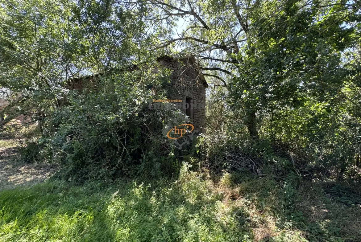 Grange en pierre à vendre à Belmont-sur-Rance, 811 m² de terrain - Idéal stockage ou rénovation 