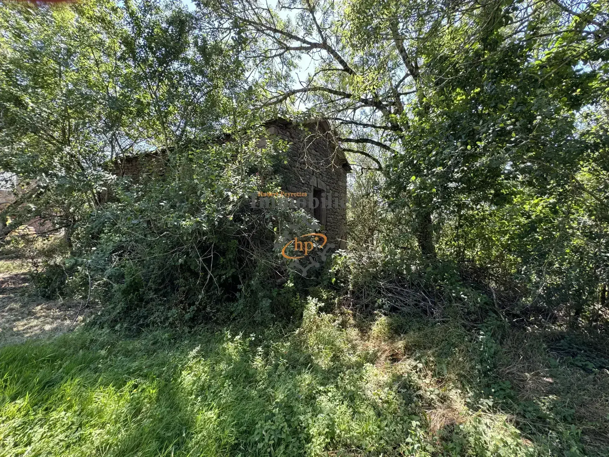 Grange en pierre à vendre à Belmont-sur-Rance, 811 m² de terrain - Idéal stockage ou rénovation 