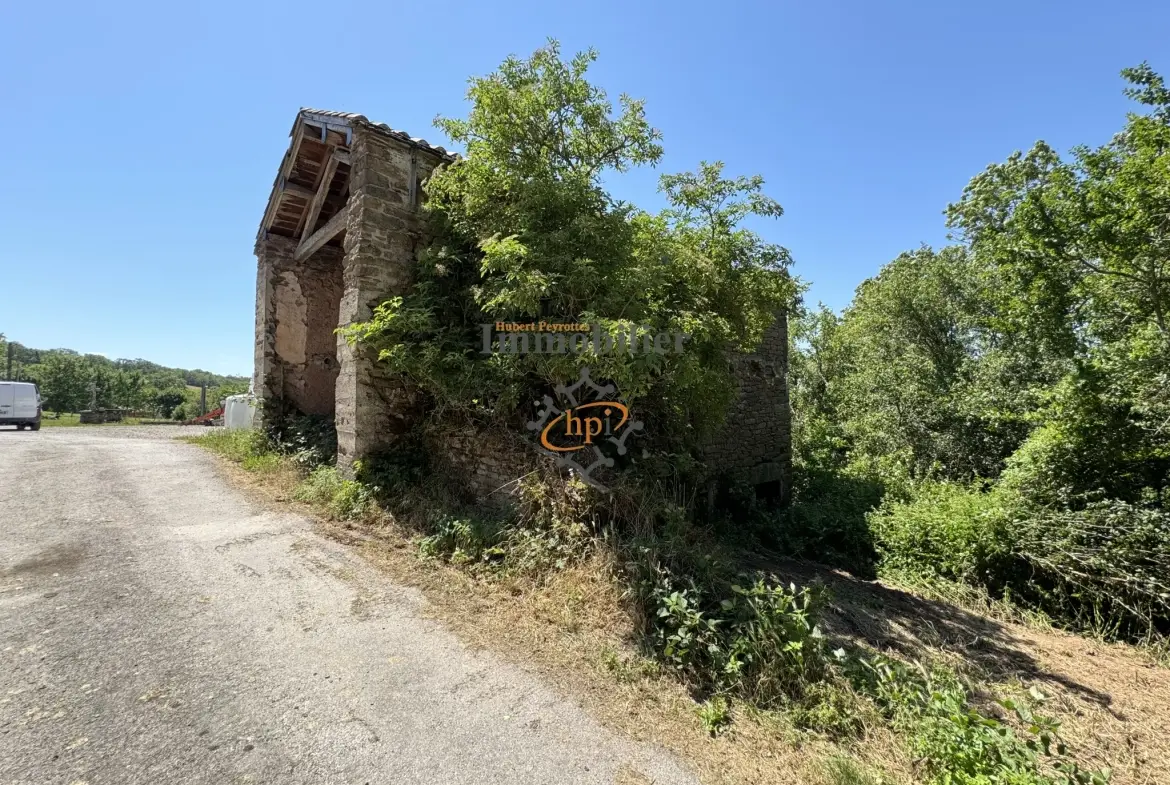 Grange en pierre à vendre à Belmont-sur-Rance, 811 m² de terrain - Idéal stockage ou rénovation 