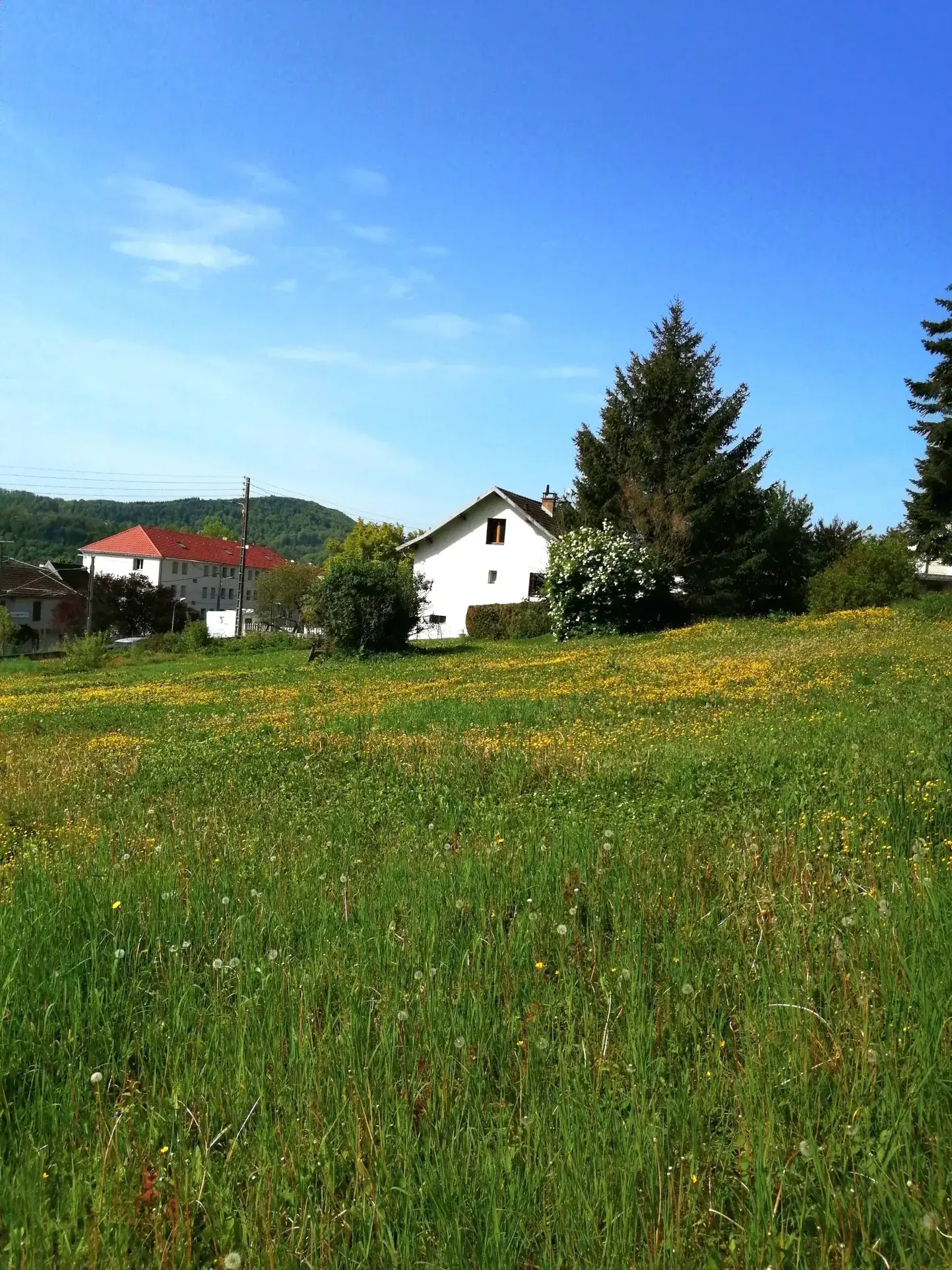 Terrain constructible ensoleillé à Baume-les-Dames de 1855 m² 
