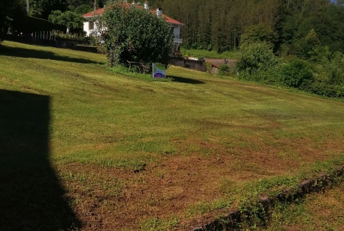 Terrain constructible ensoleillé à Baume-les-Dames de 1855 m² 