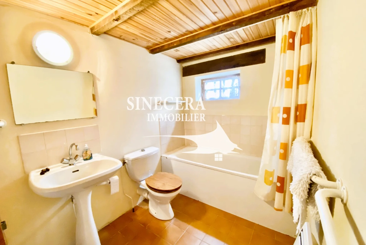 Maison de campagne de 110 m² à Thénac près de Sigoulès, vue vignobles 