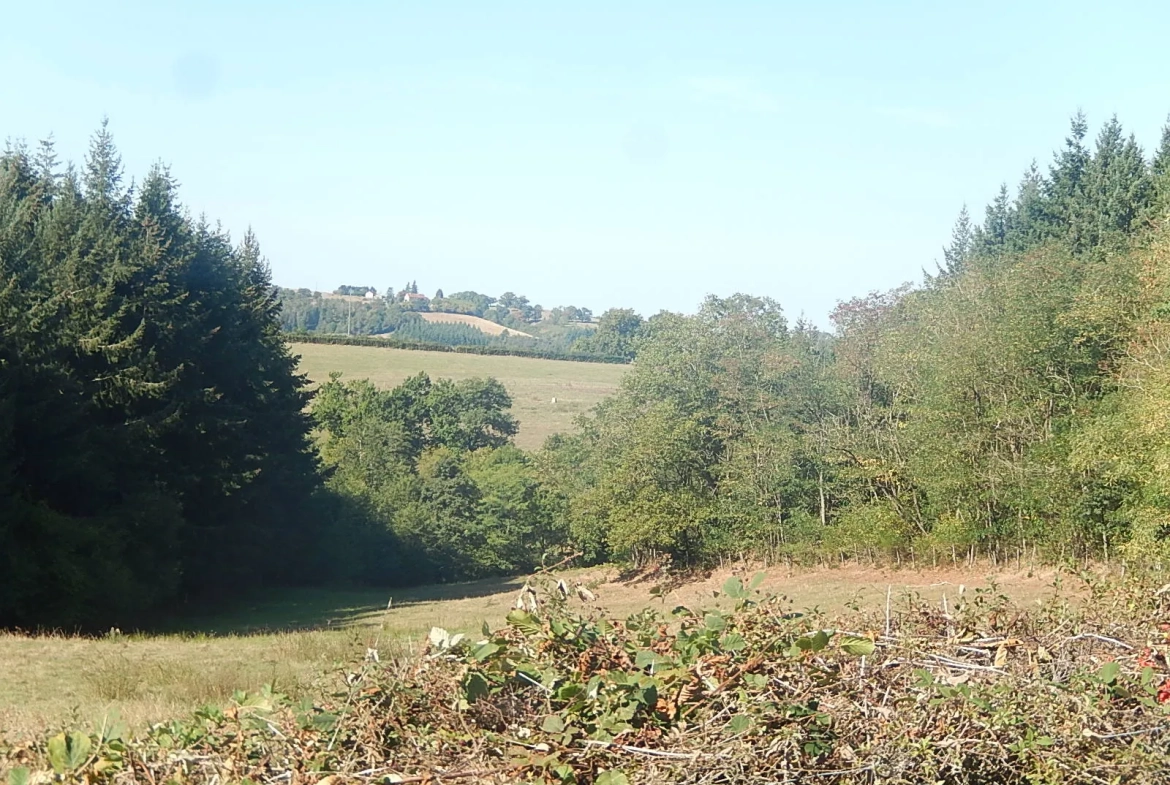 Maison individuelle isolée avec grange et vue sur la vallée à Loddes 