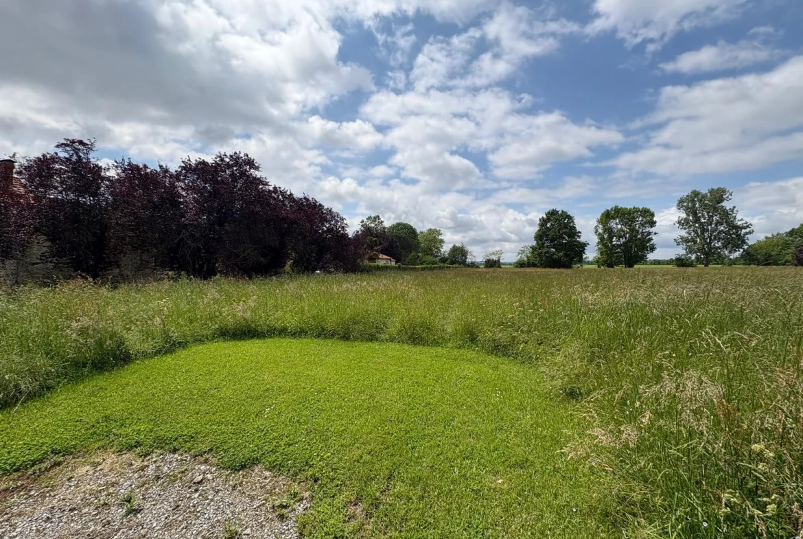 Terrain agricole à vendre de 6074 m² à Sarriac-Bigorre - Opportunité idéale pour activité rurale 