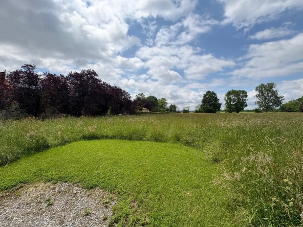 Terrain agricole à vendre de 6074 m² à Sarriac-Bigorre - Opportunité idéale pour activité rurale