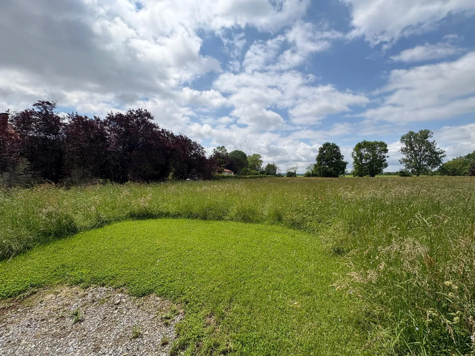 Terrain agricole à vendre de 6074 m² à Sarriac-Bigorre - Opportunité idéale pour activité rurale 