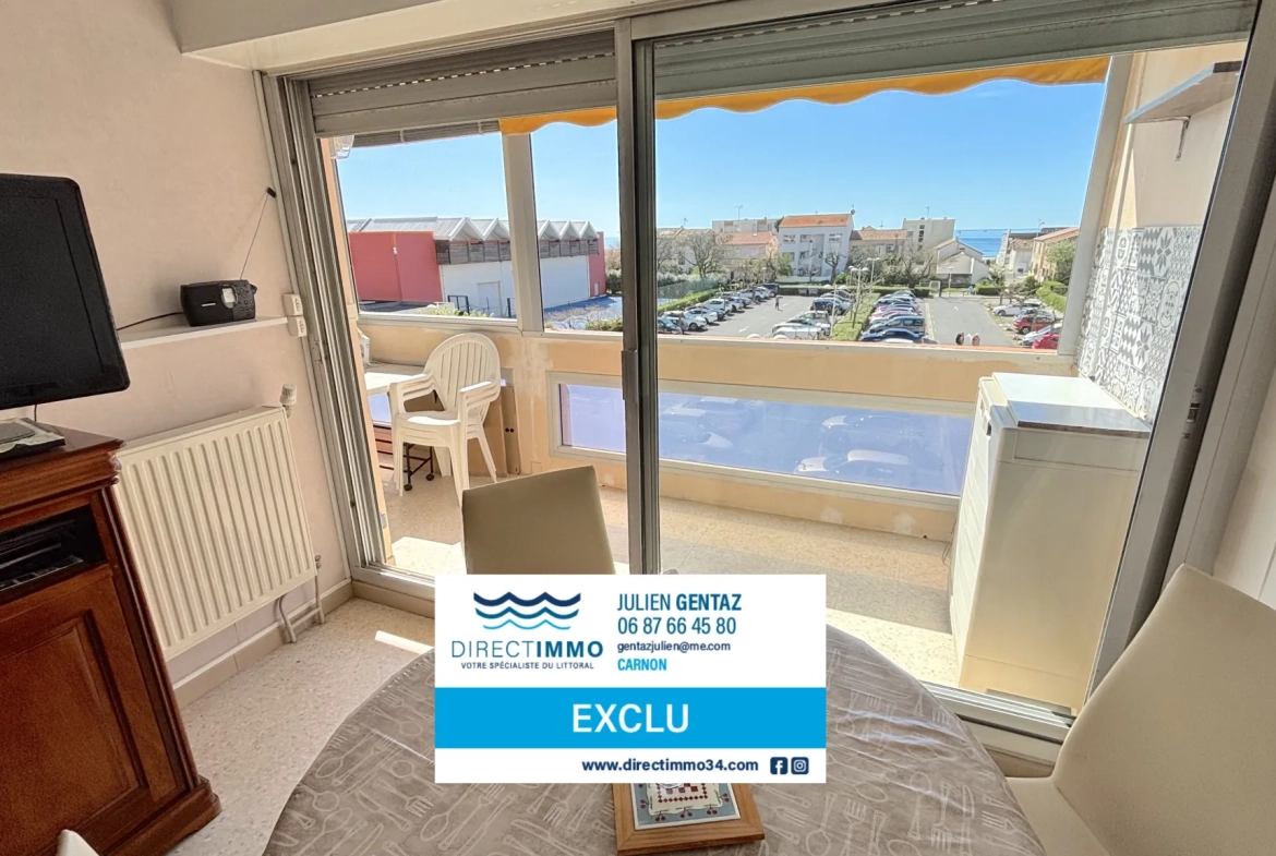 Appartement 2 pièces avec loggia sud vue mer à Carnon-Plage 