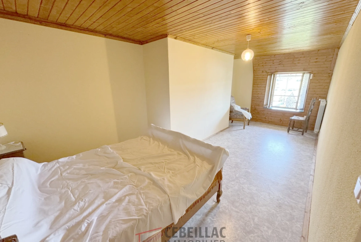 Maison authentique à vendre proche d'Allanche avec grand extérieur et potentiel 