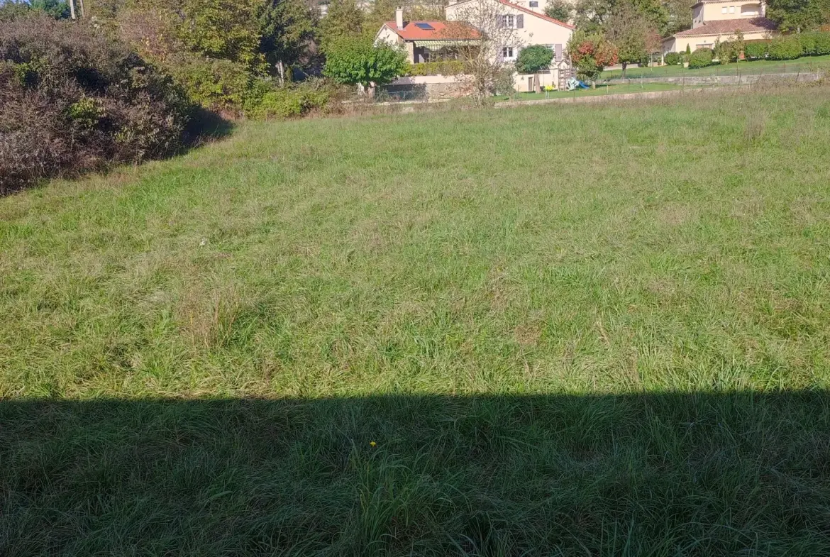 Terrain constructible de 1989 m² à Sisteron, idéal pour votre projet immobilier 