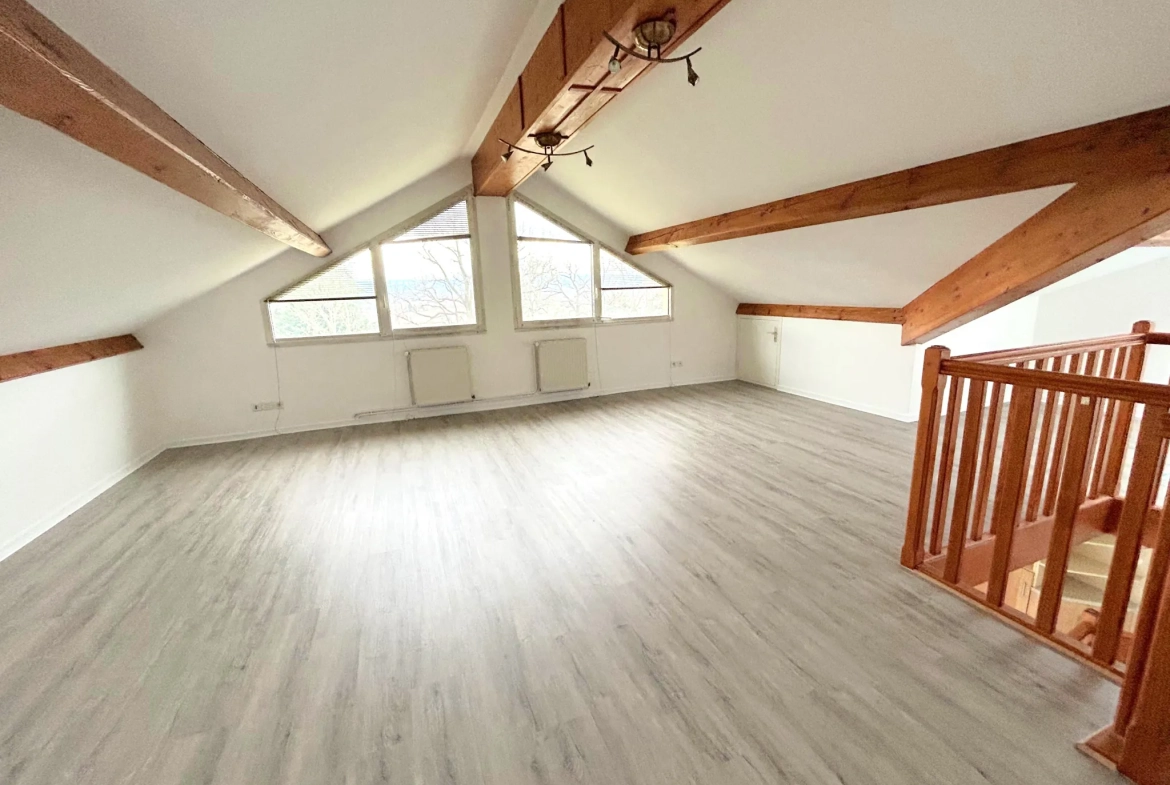 Appartement duplex 4 pièces avec balcon à Veauche en vente 