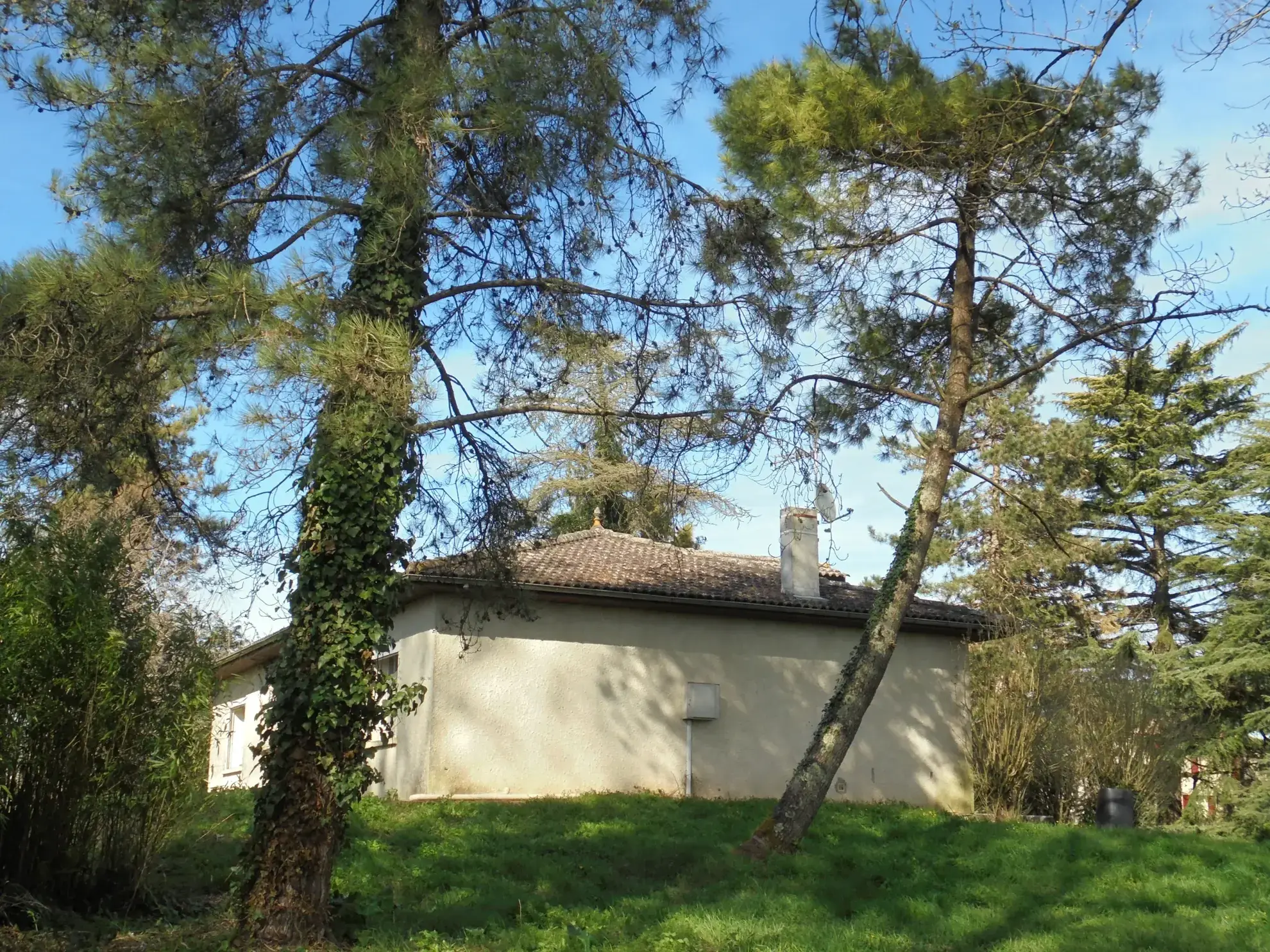 Maison de plain-pied à rénover avec grand terrain près de La Réole 