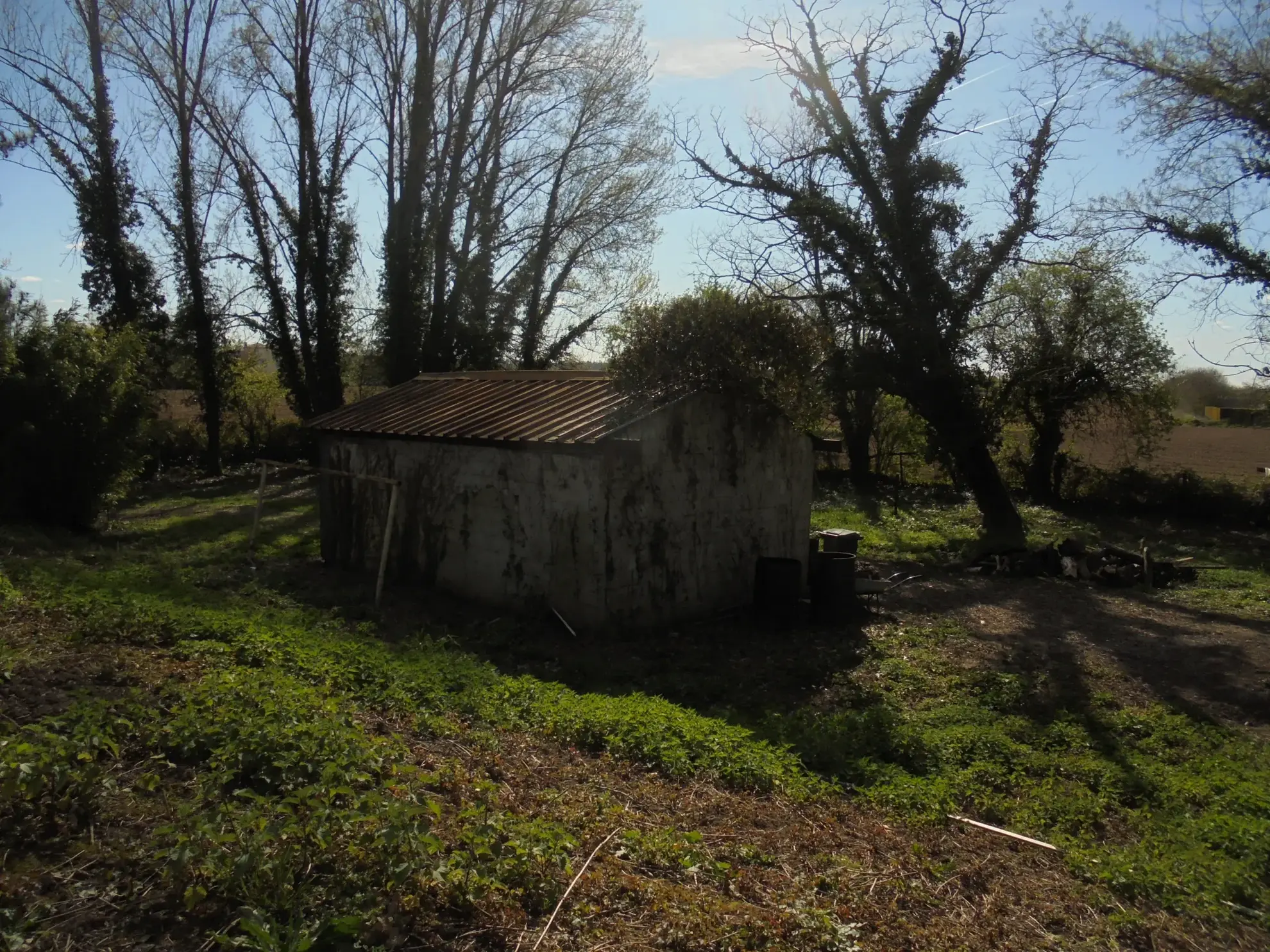 Maison de plain-pied à rénover avec grand terrain près de La Réole 