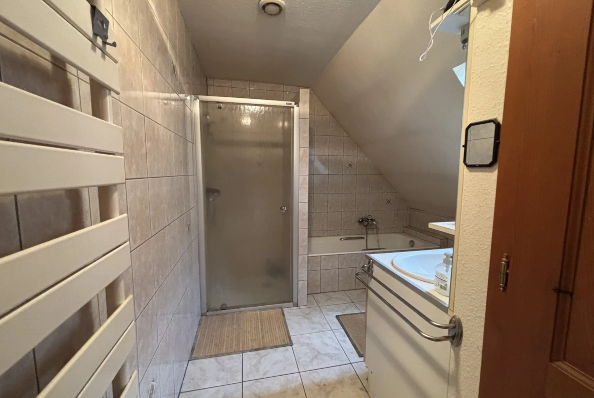 Grande maison familiale à Erstein avec deux appartements et garages 