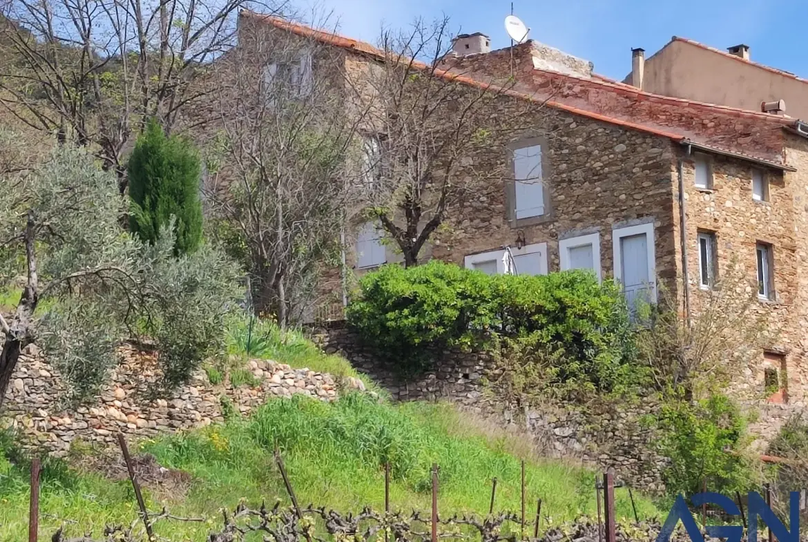 Maison à vendre de 6 pièces et 180 m² à Roquebrun, proche des Gorges d'Héric 