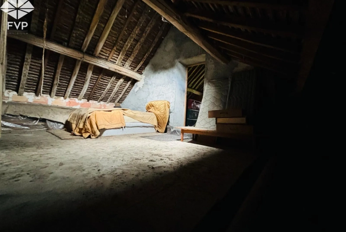 Maison de campagne à rénover à Douchy - Projet exceptionnel en pleine nature 