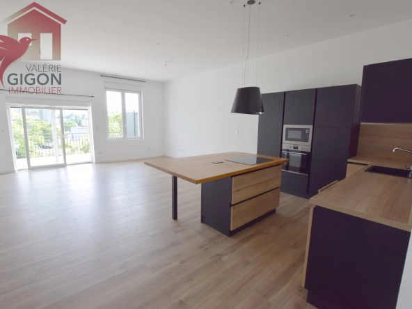 Magnifique appartement duplex F4/5 avec grande terrasse à Montbéliard