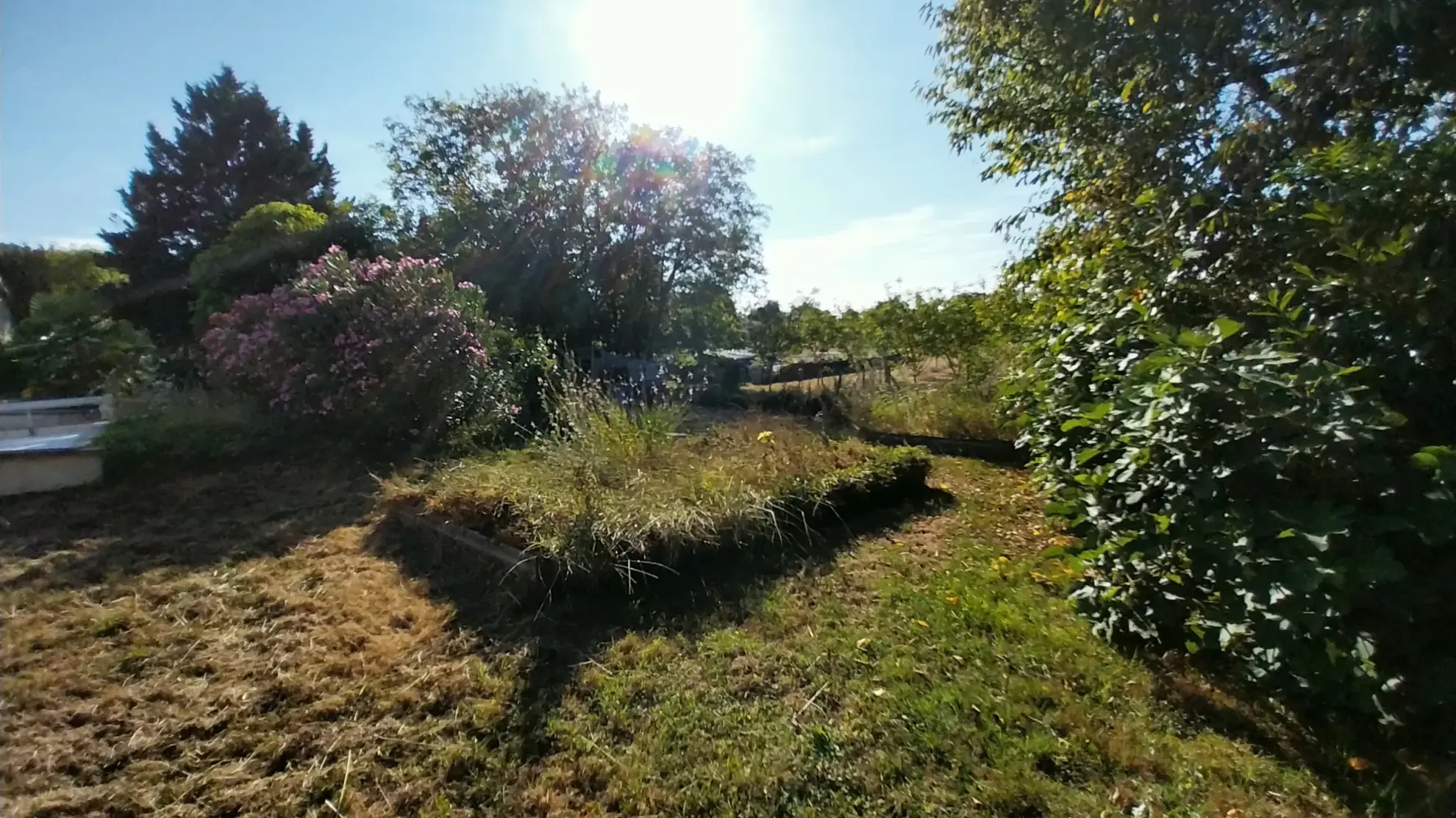 Belle maison en pierre rénovée avec piscine et grand jardin à Razac-sur-l'Isle 