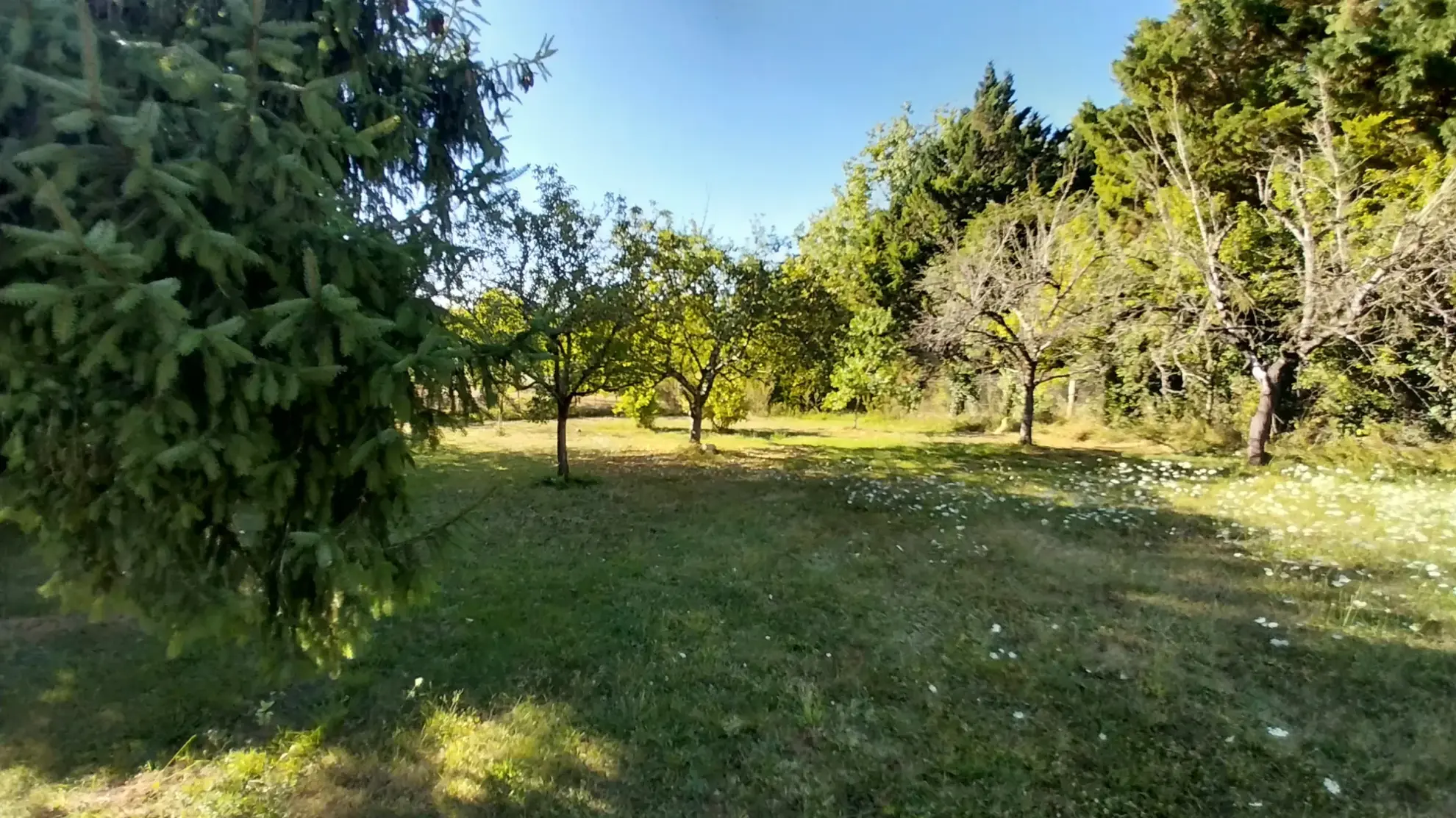 Belle maison en pierre rénovée avec piscine et grand jardin à Razac-sur-l'Isle 