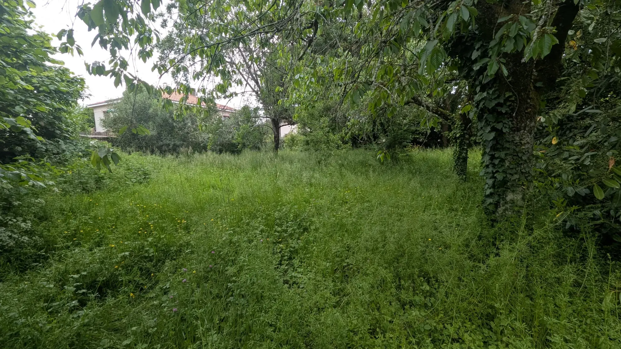 Terrain constructible de 766 m² en centre-ville de Magne – Opportunité rare 
