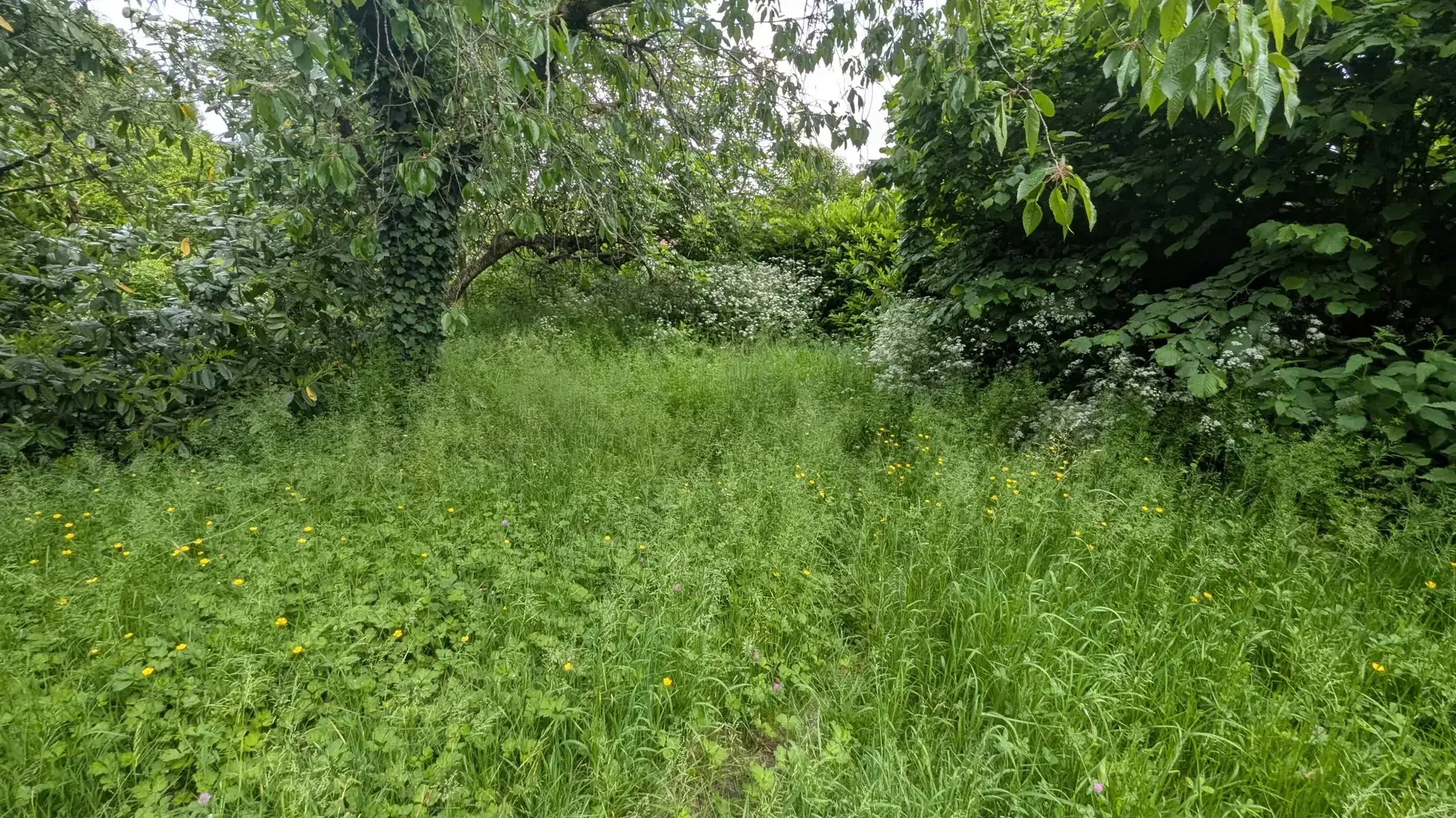 Terrain constructible de 766 m² en centre-ville de Magne – Opportunité rare 