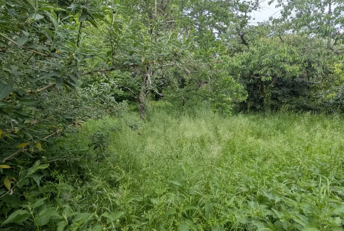 Terrain constructible de 766 m² en centre-ville de Magne – Opportunité rare 