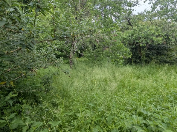 Terrain constructible de 766 m² en centre-ville de Magne – Opportunité rare