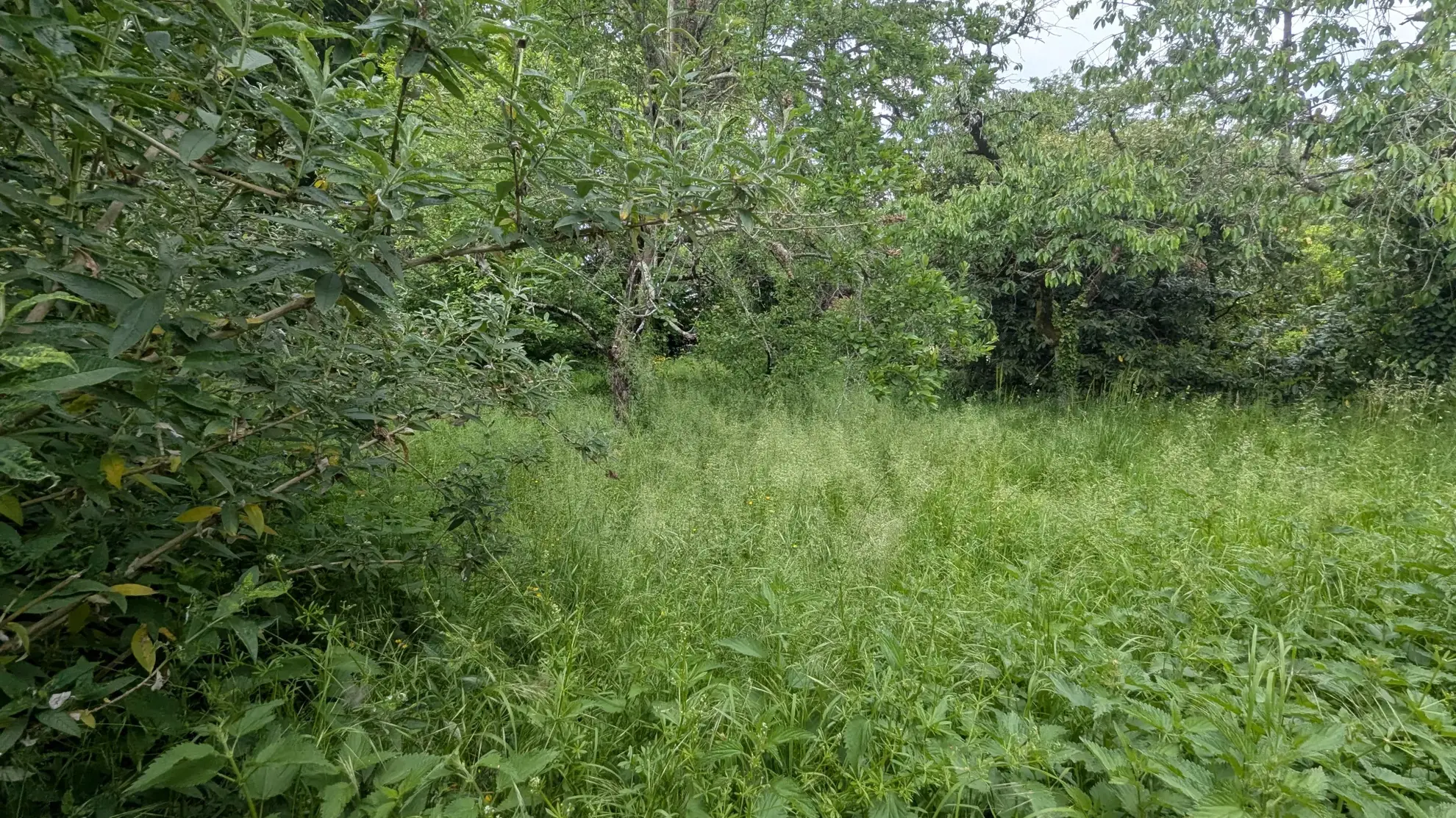 Terrain constructible de 766 m² en centre-ville de Magne – Opportunité rare 