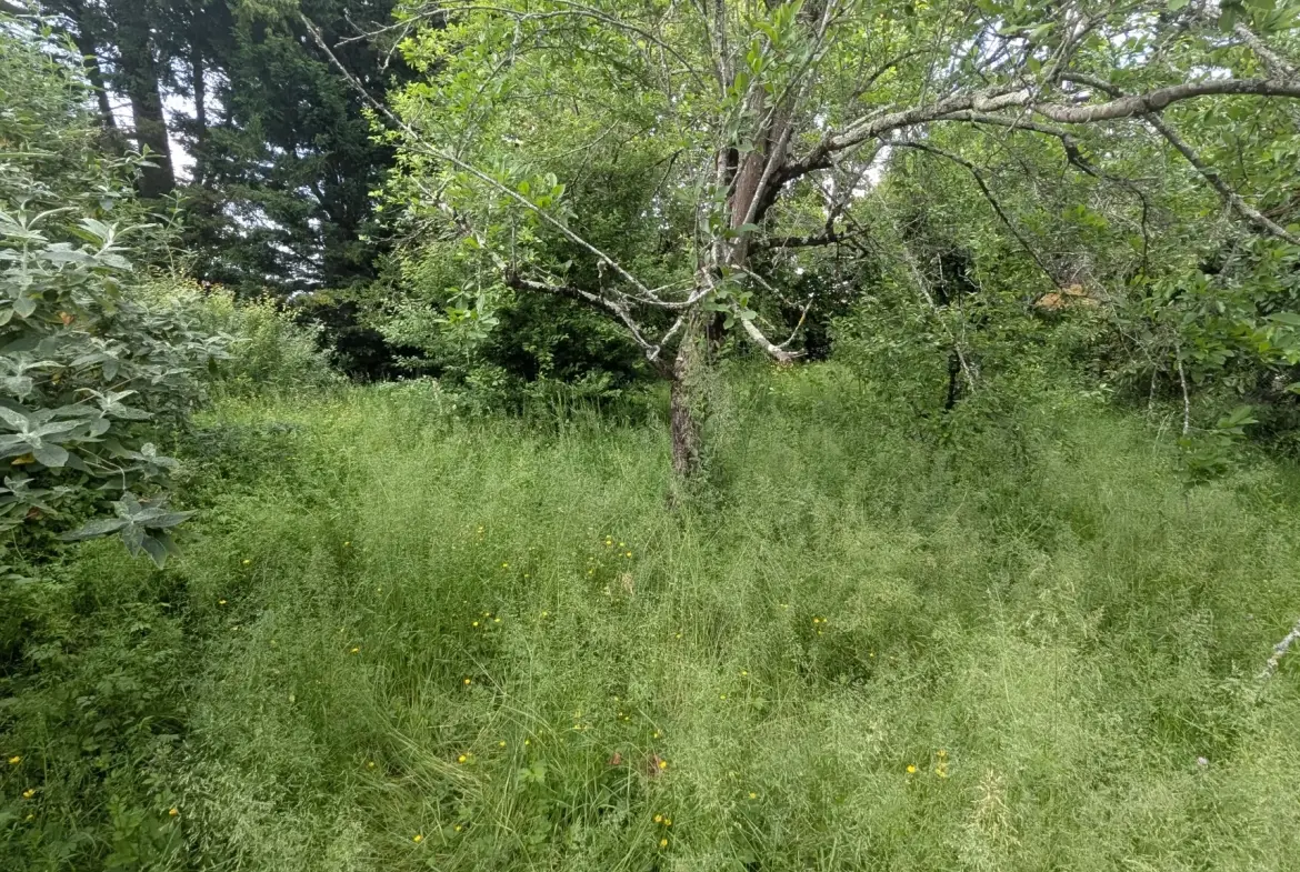 Terrain constructible de 766 m² en centre-ville de Magne – Opportunité rare 