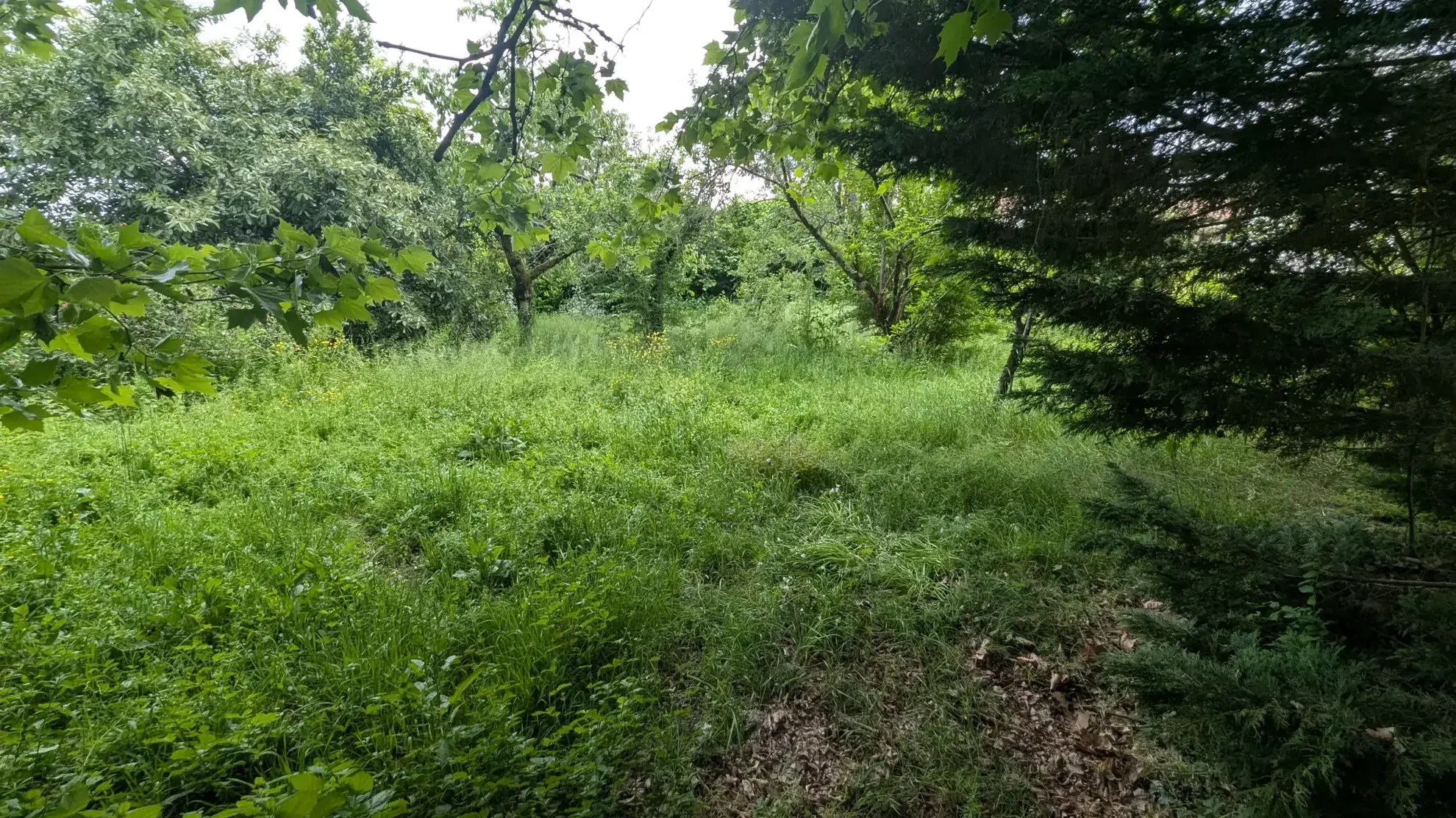 Terrain constructible de 766 m² en centre-ville de Magne – Opportunité rare 