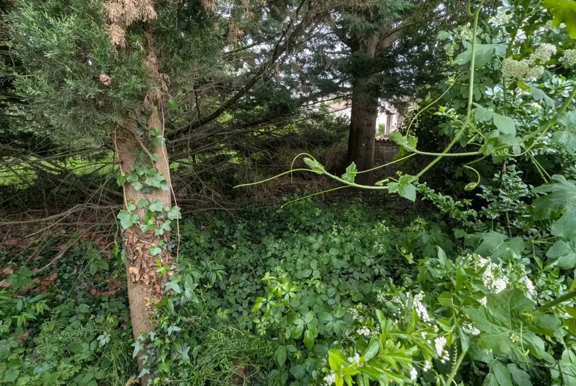 Terrain constructible de 766 m² en centre-ville de Magne – Opportunité rare 