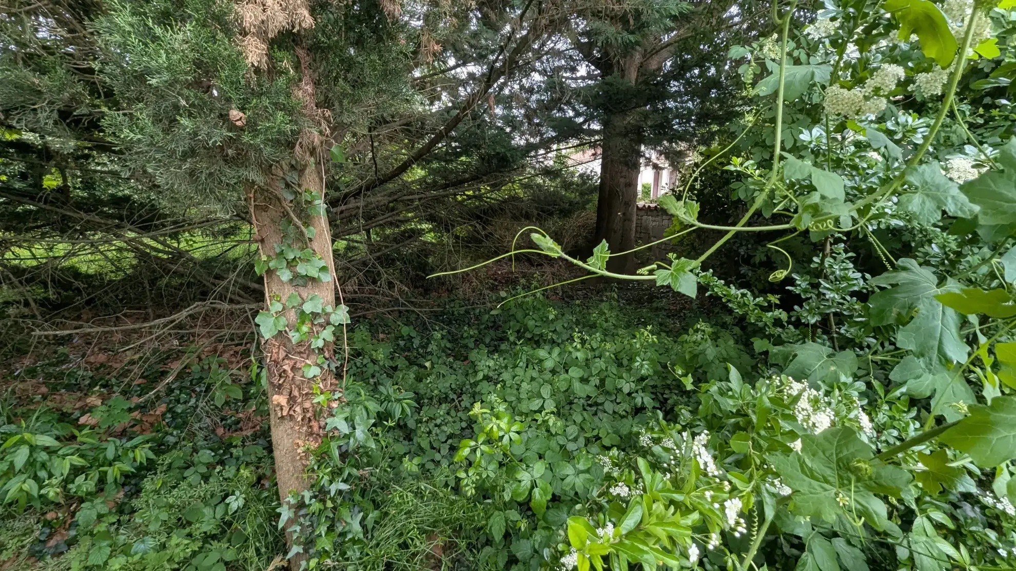 Terrain constructible de 766 m² en centre-ville de Magne – Opportunité rare 