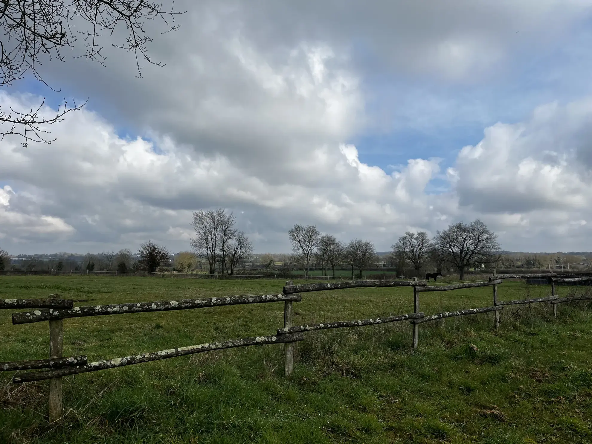 Propriété équestre avec habitation, dépendances et terrain à Bressuire, 79300 